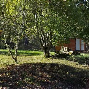 Agricampeggio Madonna Di Pogi Camping Bucine